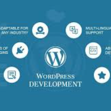 Wordpress developement